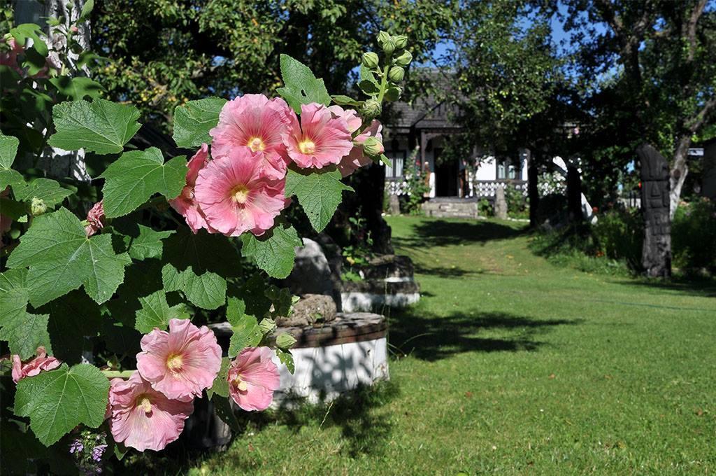 Bed & Breakfast Popamuseum Tarpesti Strada Muzeului Nr 28 Tirpesti Екстер'єр фото